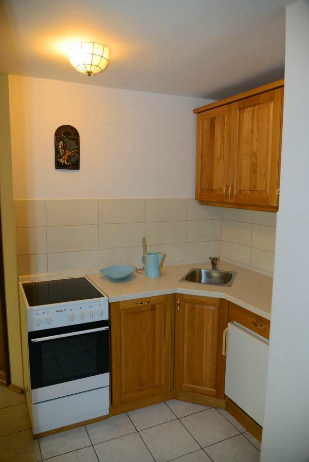 Apartmaji Rabic ボーヒニ エクステリア 写真
